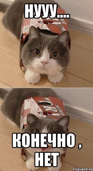 Конечно картинки прикольные