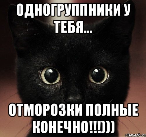 Одногруппники картинки