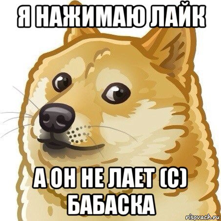 Псина гавкай Мем