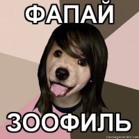 Собака Советчица