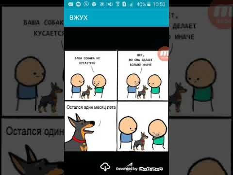 Мем с собакой которая делает больно