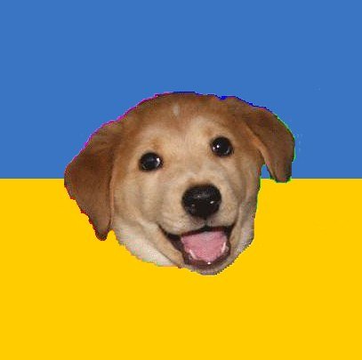 Собака Советчица