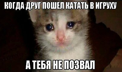 Плачущий котик