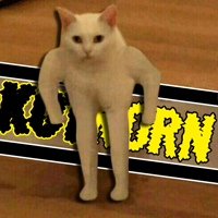 Мем кот МАУ МАУ маааааау