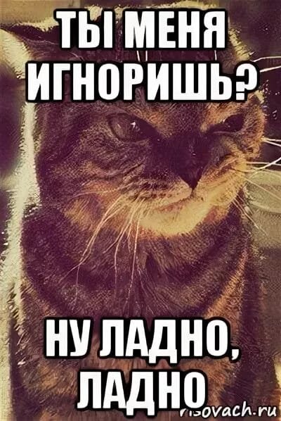 Че игноришь