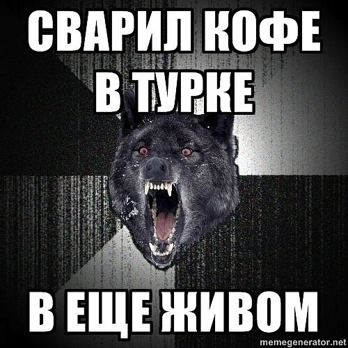 Собака Советчица Мем