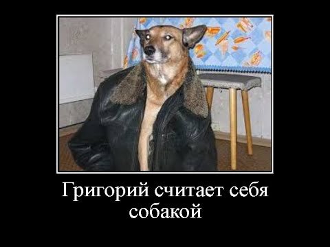Человек собака Григорий