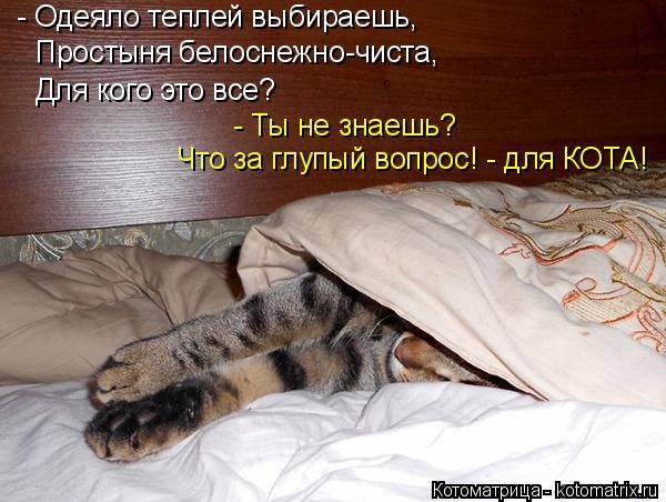 Прикольные одеяла