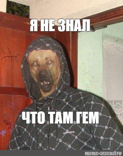 Собака в одежде Мем