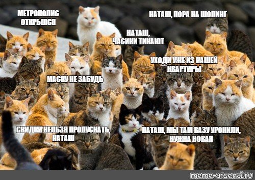 Мемы про котов