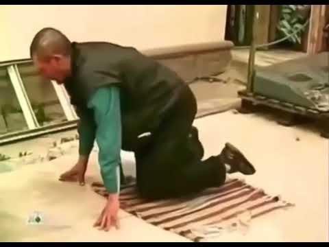 Григория превратили в собаку зомби