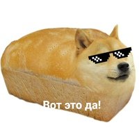 Собака хлеб