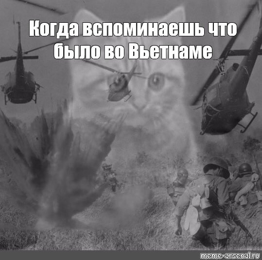 Вьетнам война флешбеки коты