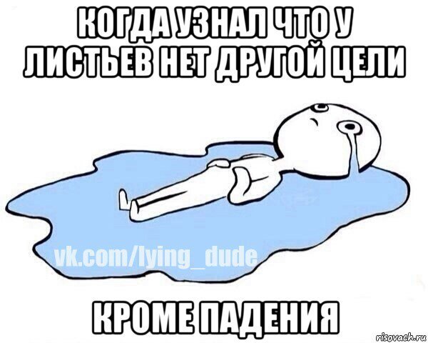 Упавший кот Мем