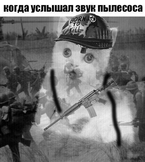 Вьетнамские флешбеки Мем