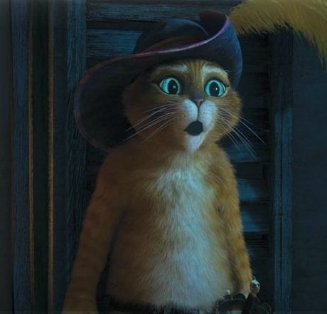 Кот из мультика кот в сапогах