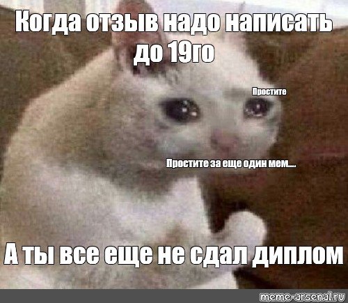 Котик плачет и сжимает кулак