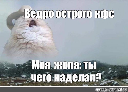 Исчезновение котика Мем