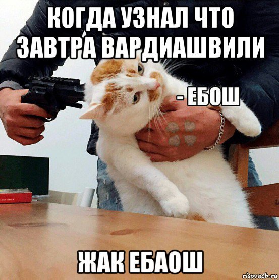 Невозмутимый кот Мем