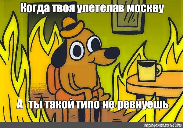 Спокойная собака в горящем доме