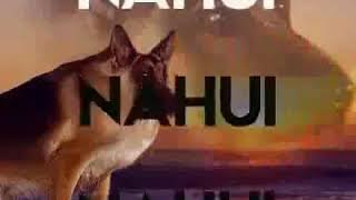 Максим Мем с овчаркой