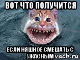 Опять ты Мем с акулой