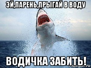 Акула Мем