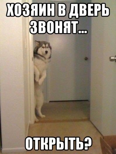 Открытые двери Мем