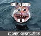 Кот Мем