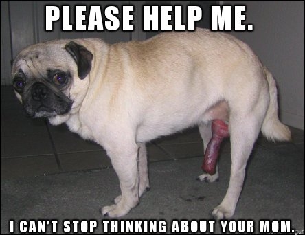 Жирный Мопс