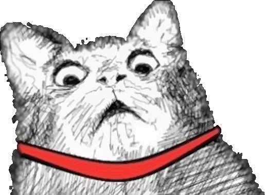 Удивленный кот на белом фоне