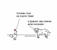 Шутки про собак в картинках