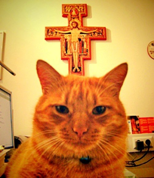 Михаил Юрьевич котолик