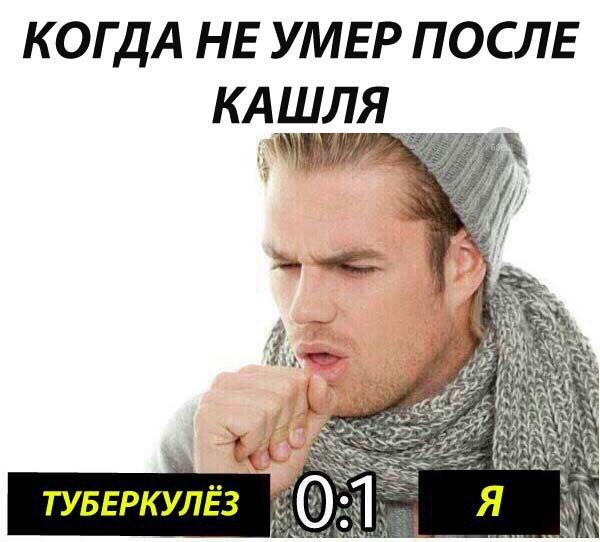 Кот кашляет