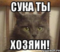 Хозяева мемы