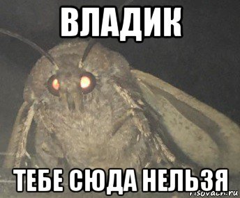 Мемы с мышами