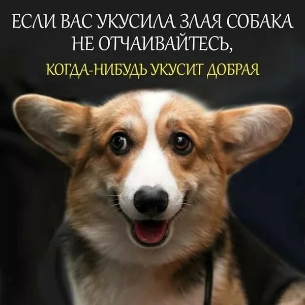 Если вас укусила злая