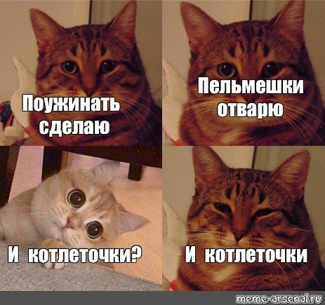 Пельмешки Мем с котом
