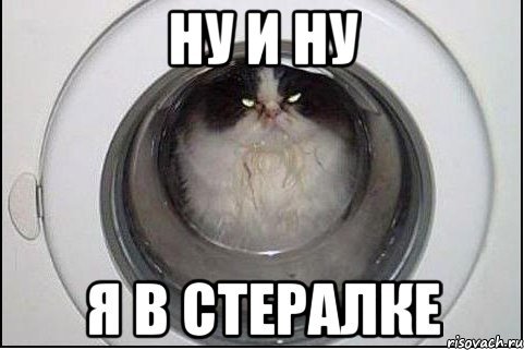 Котик хехе