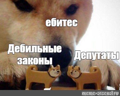 Мем пес ебитес