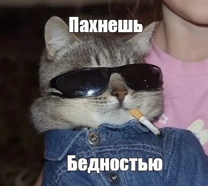 Пахнешь бедностью Мем