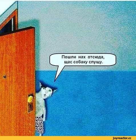 Сейчас собаку спущу