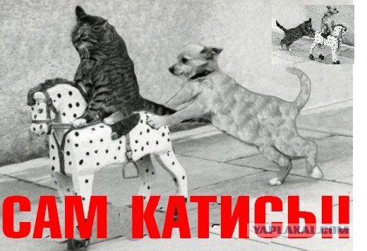 Картина катись к х