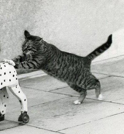 Катись к ухям