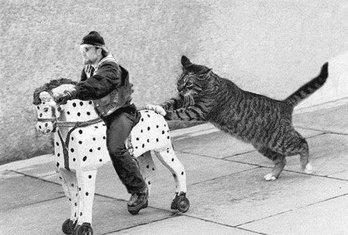 Катись отсюда