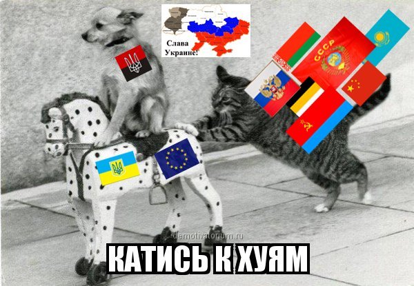 Картина катись к х