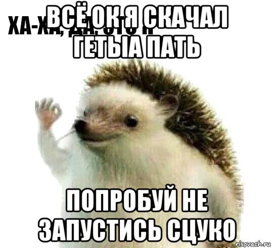 Хи Хи ха ха Мем