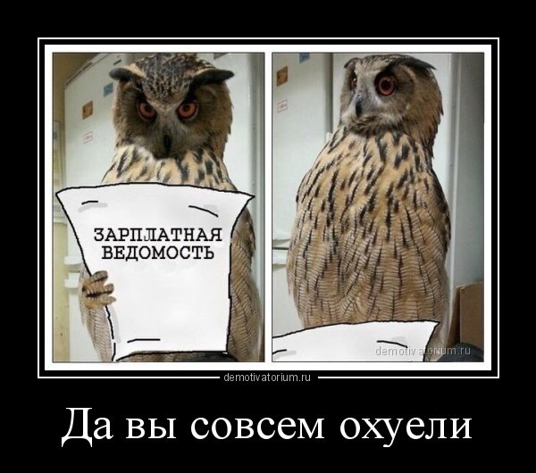 Совы приколы с надписями