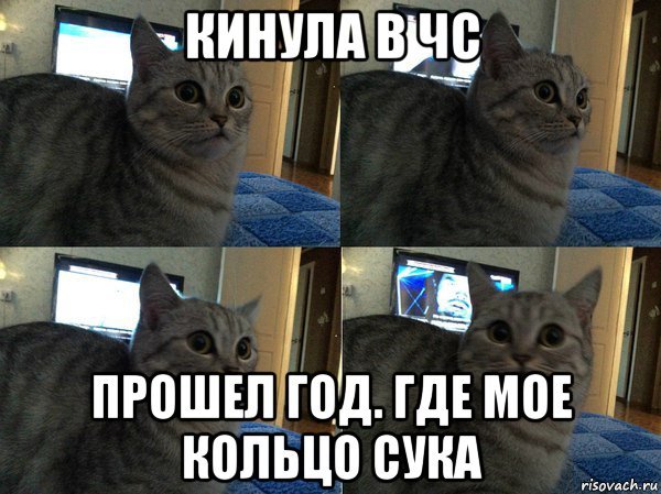 Тревожный кот Мем