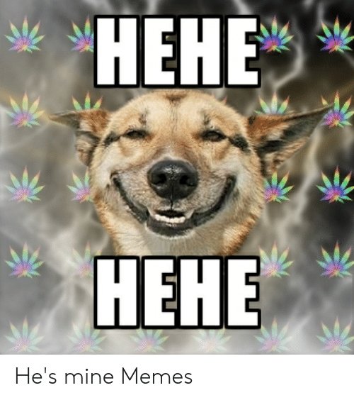 Хехе нот хехе Мем кот